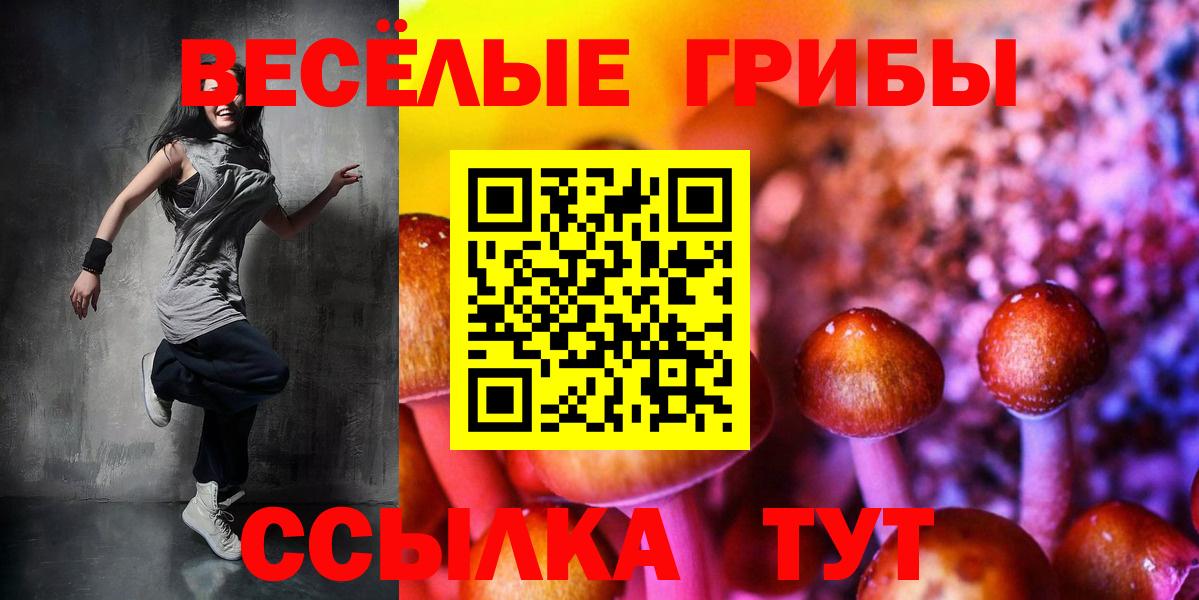 Чебаркуль  Галлюциногенные грибы MAGIC MUSHROOMS  Вход с VPN 